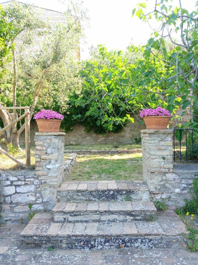 Residenza Messer Pajola Assisi Dış mekan fotoğraf
