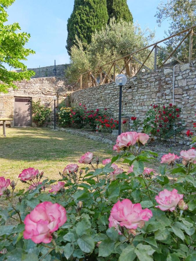 Residenza Messer Pajola Assisi Dış mekan fotoğraf