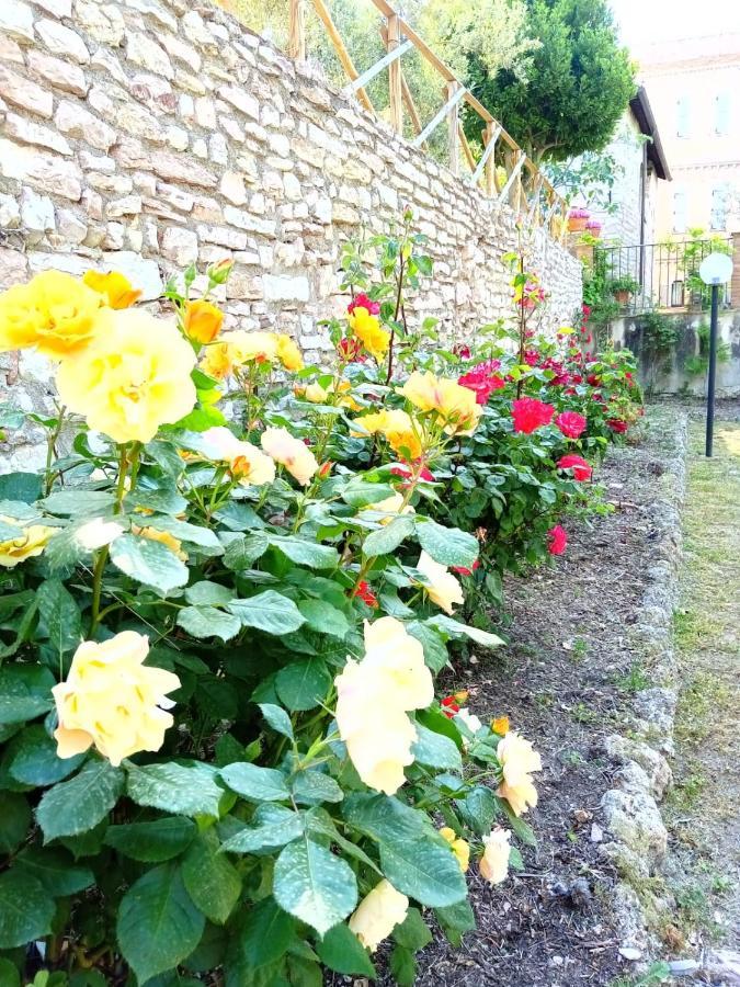 Residenza Messer Pajola Assisi Dış mekan fotoğraf