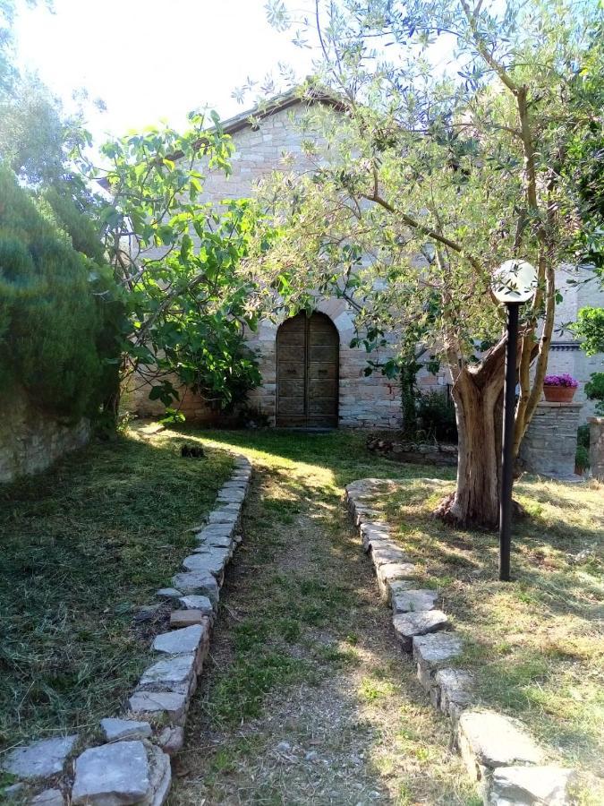 Residenza Messer Pajola Assisi Dış mekan fotoğraf